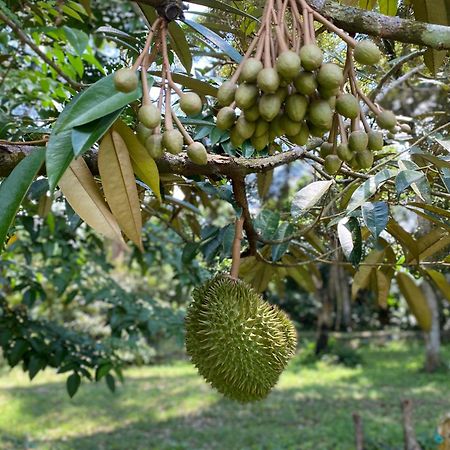 Kebun Puisi Villa Kajang Bagian luar foto