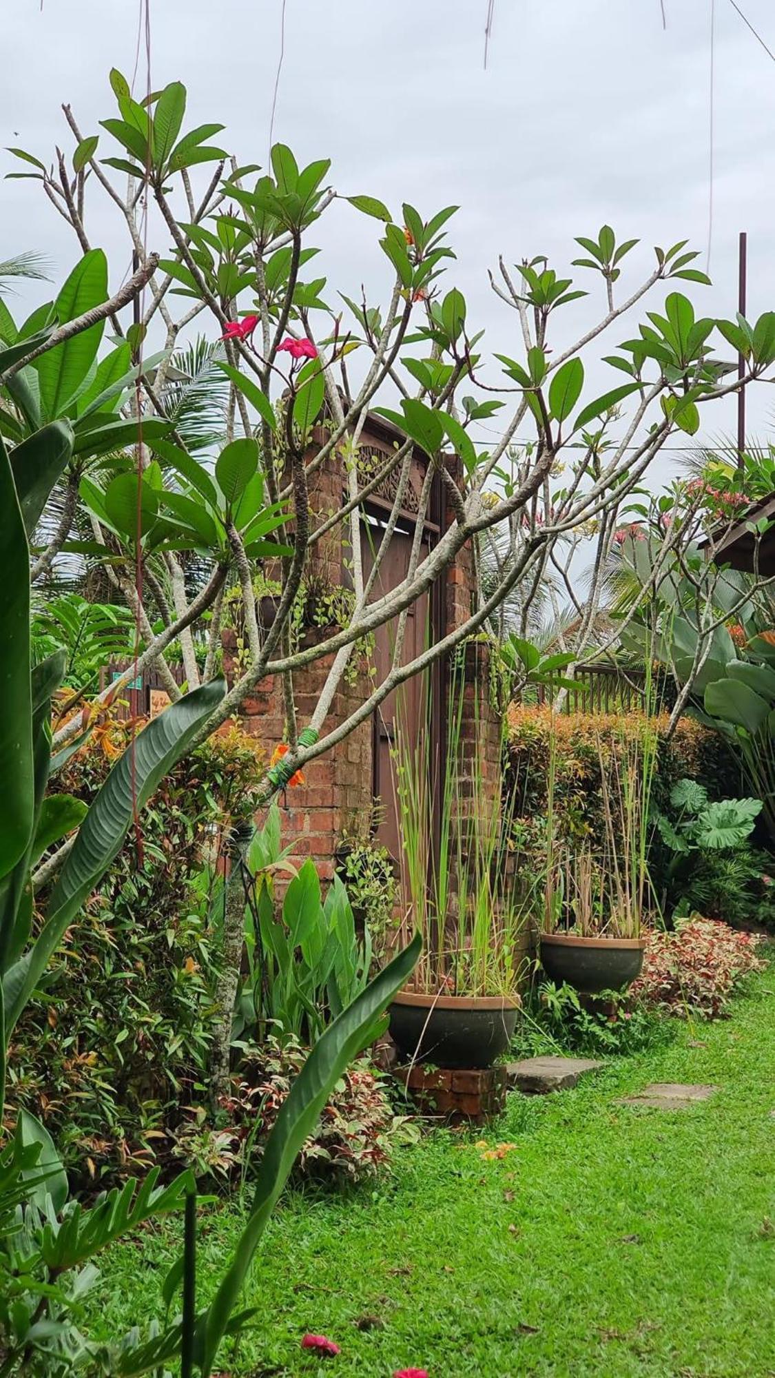 Kebun Puisi Villa Kajang Bagian luar foto