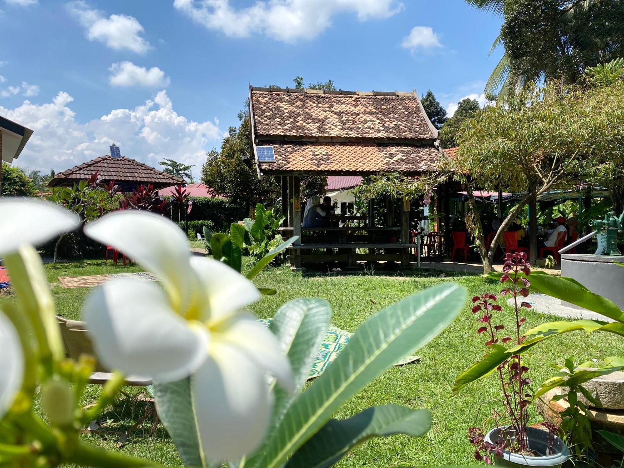 Kebun Puisi Villa Kajang Bagian luar foto